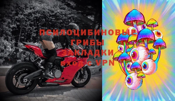 кокс Алзамай